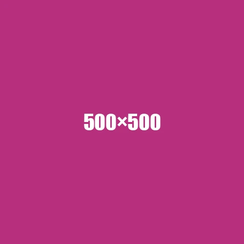 image de remplacement 500 × 500
