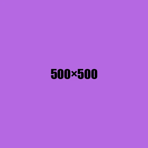 image de remplacement 500 × 500