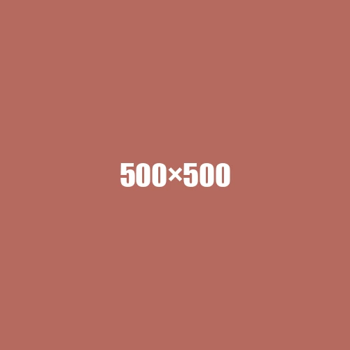 image de remplacement 500 × 500
