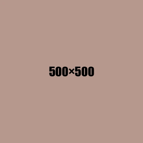 image de remplacement 500 × 500