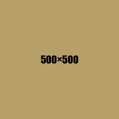 image de remplacement 500 × 500