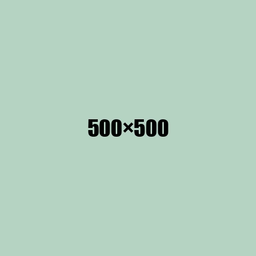 image de remplacement 500 × 500