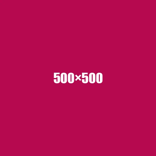 image de remplacement 500 × 500