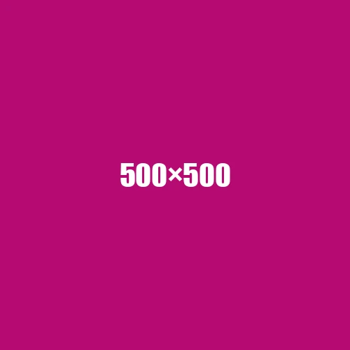 image de remplacement 500 × 500