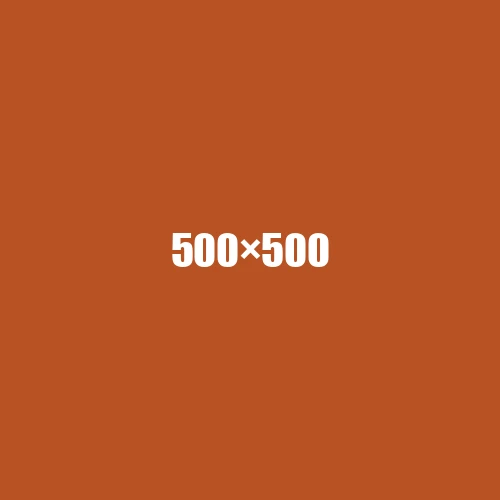 image de remplacement 500 × 500