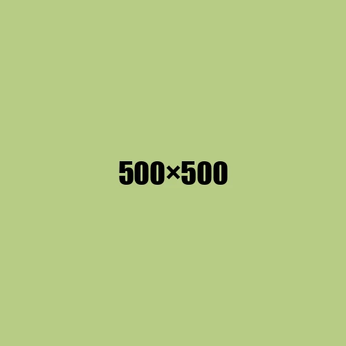image de remplacement 500 × 500