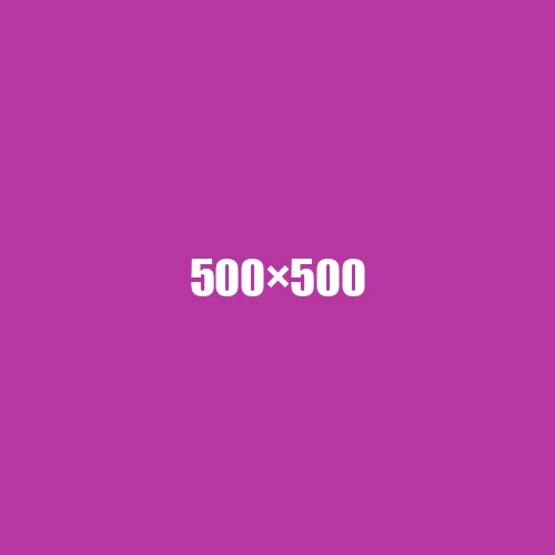 image de remplacement 500 × 500