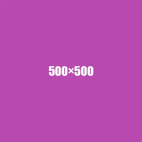 image de remplacement 500 × 500