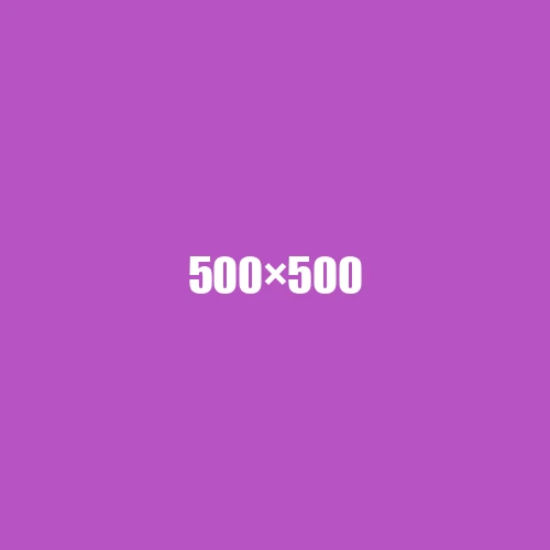 image de remplacement 500 × 500