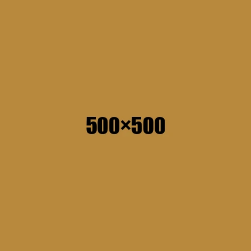 image de remplacement 500 × 500