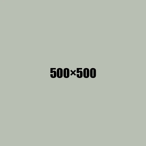 image de remplacement 500 × 500