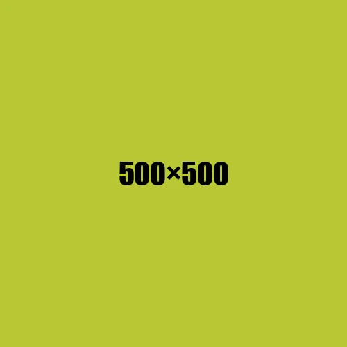 image de remplacement 500 × 500