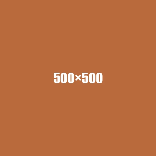 image de remplacement 500 × 500