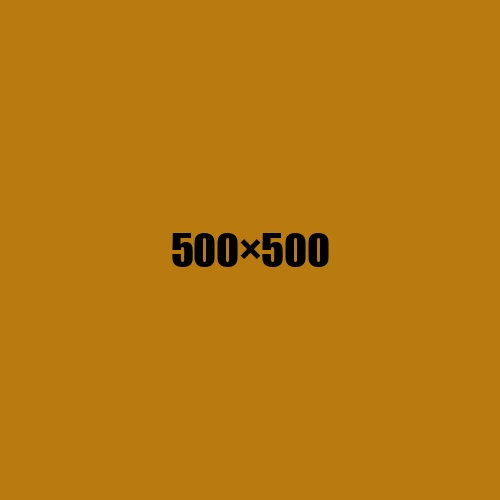 image de remplacement 500 × 500