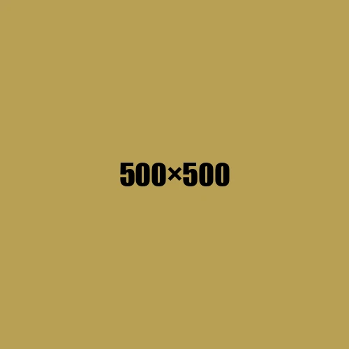 image de remplacement 500 × 500