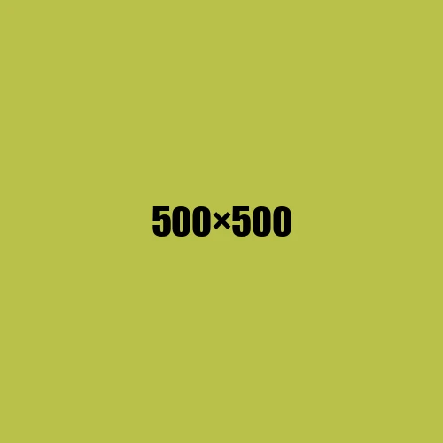 image de remplacement 500 × 500