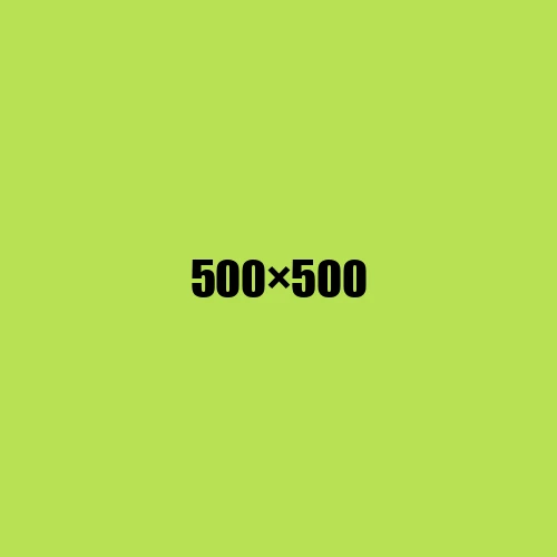 image de remplacement 500 × 500