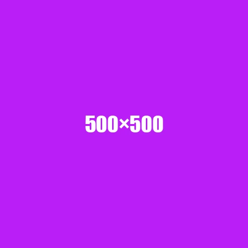image de remplacement 500 × 500