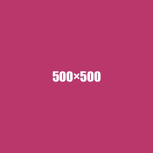 image de remplacement 500 × 500