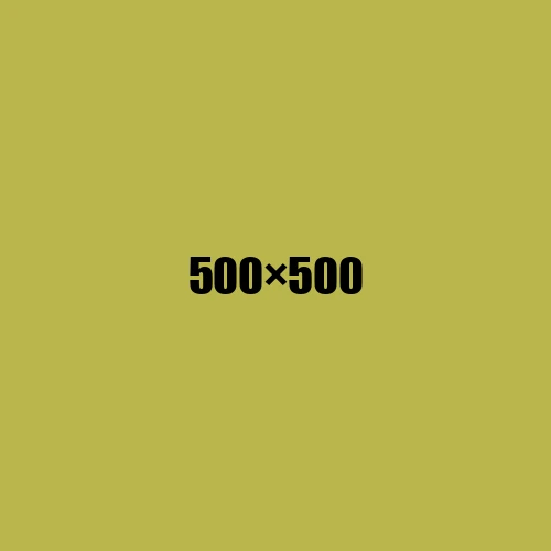 image de remplacement 500 × 500