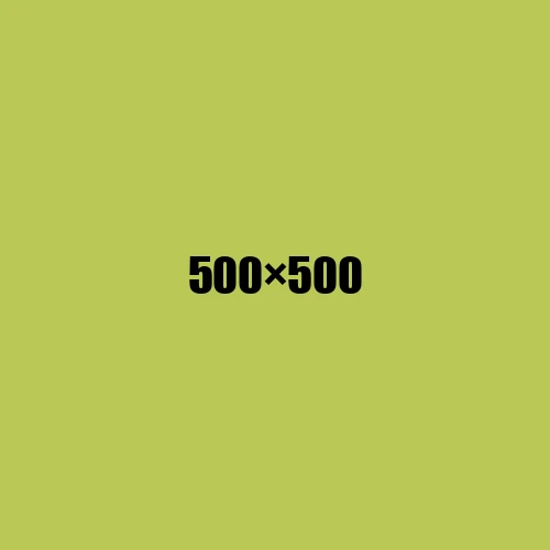 image de remplacement 500 × 500