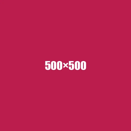 image de remplacement 500 × 500