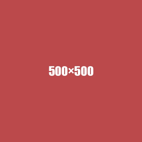 image de remplacement 500 × 500