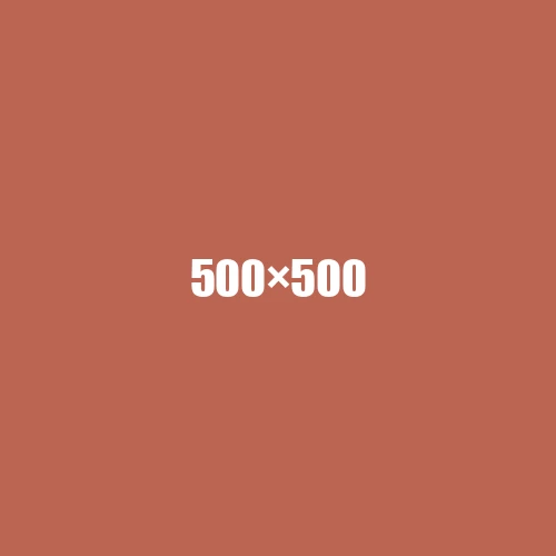 image de remplacement 500 × 500