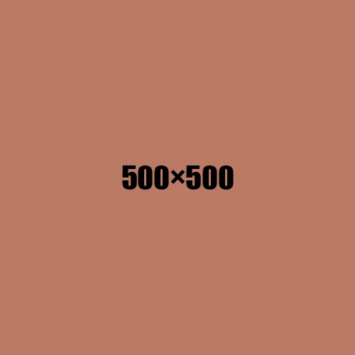 image de remplacement 500 × 500