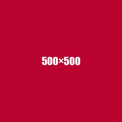 image de remplacement 500 × 500