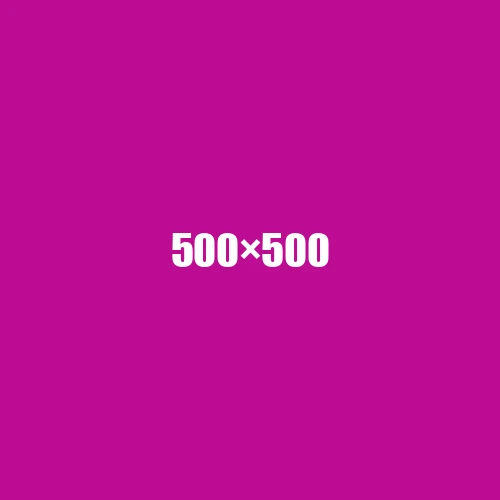 image de remplacement 500 × 500