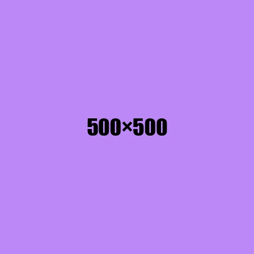 image de remplacement 500 × 500