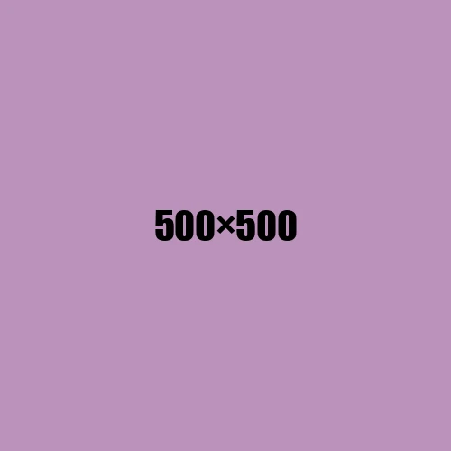 image de remplacement 500 × 500