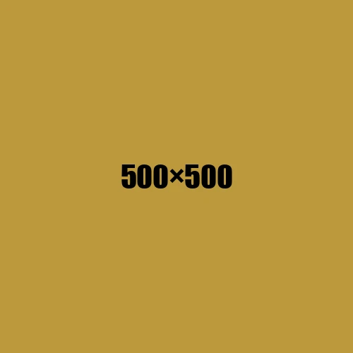 image de remplacement 500 × 500