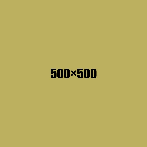 image de remplacement 500 × 500