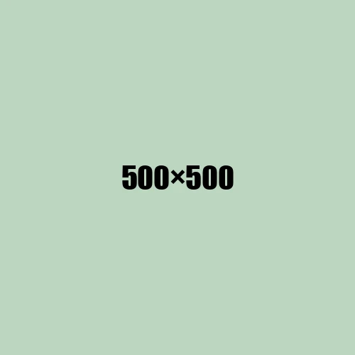 image de remplacement 500 × 500