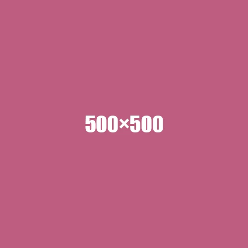 image de remplacement 500 × 500