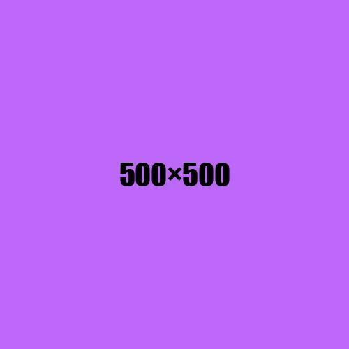 image de remplacement 500 × 500