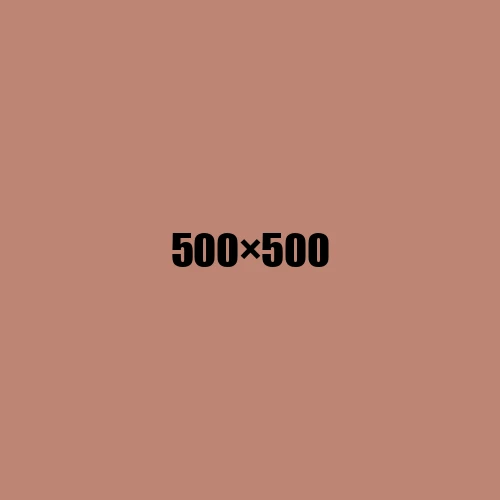image de remplacement 500 × 500