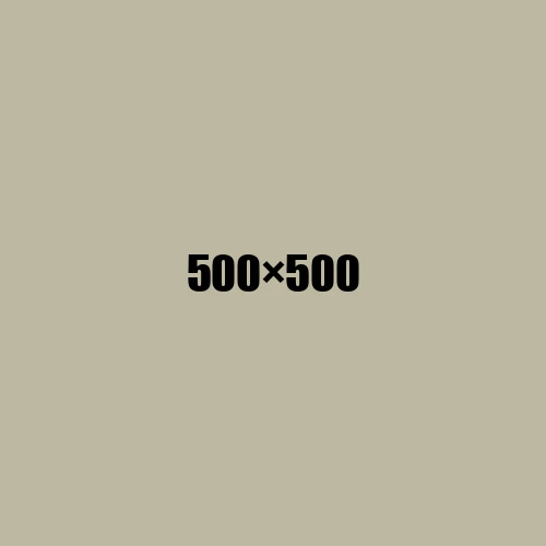 image de remplacement 500 × 500