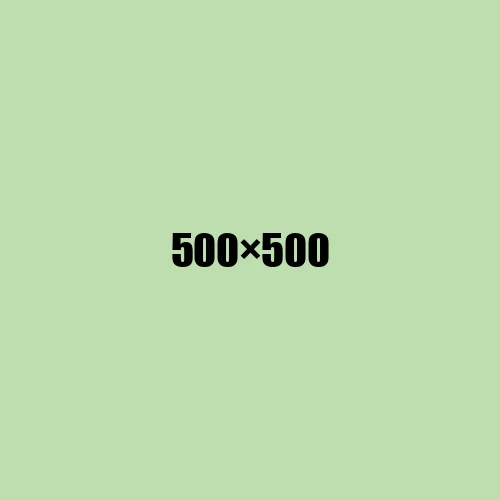 image de remplacement 500 × 500