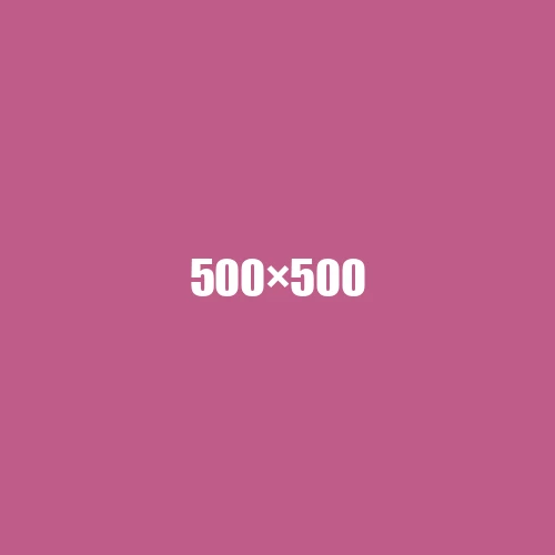 image de remplacement 500 × 500