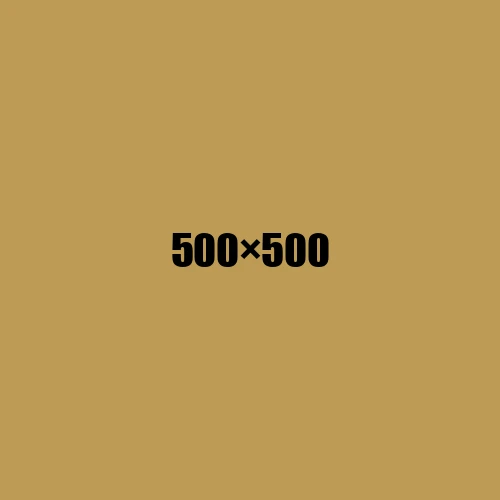 image de remplacement 500 × 500