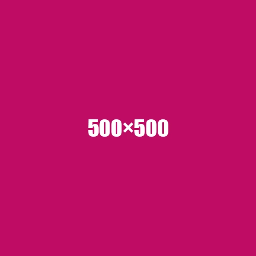 image de remplacement 500 × 500