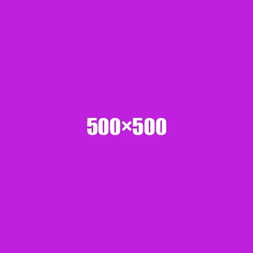 image de remplacement 500 × 500