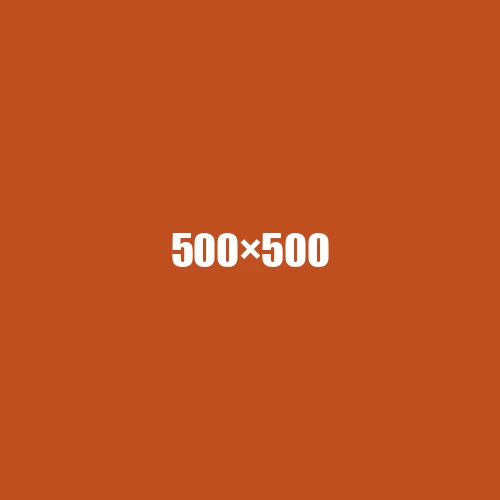 image de remplacement 500 × 500