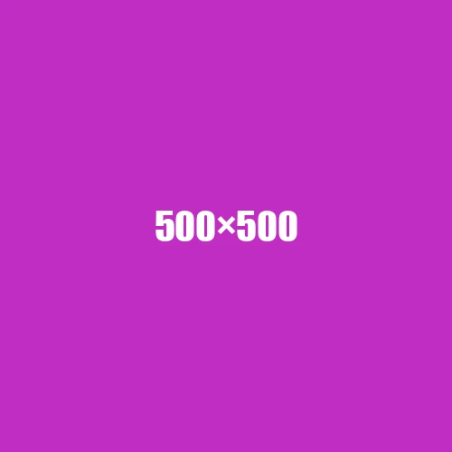 image de remplacement 500 × 500