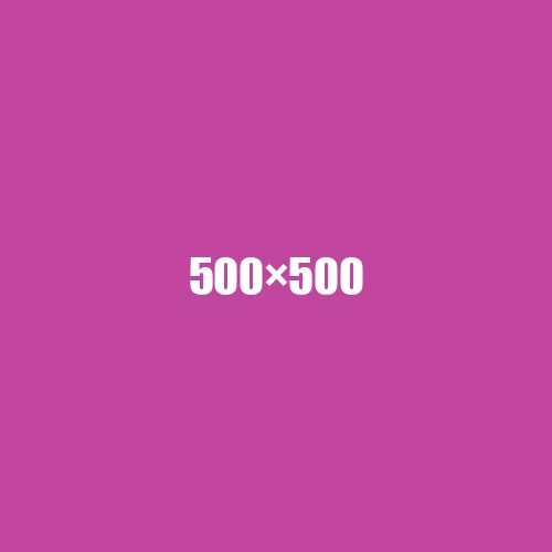 image de remplacement 500 × 500