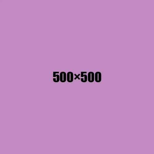 image de remplacement 500 × 500