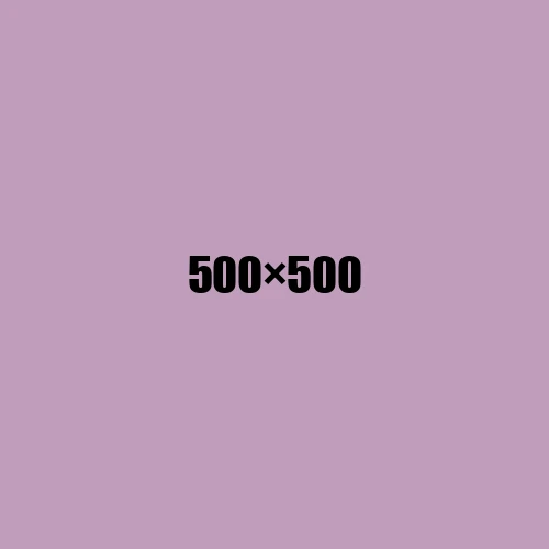 image de remplacement 500 × 500